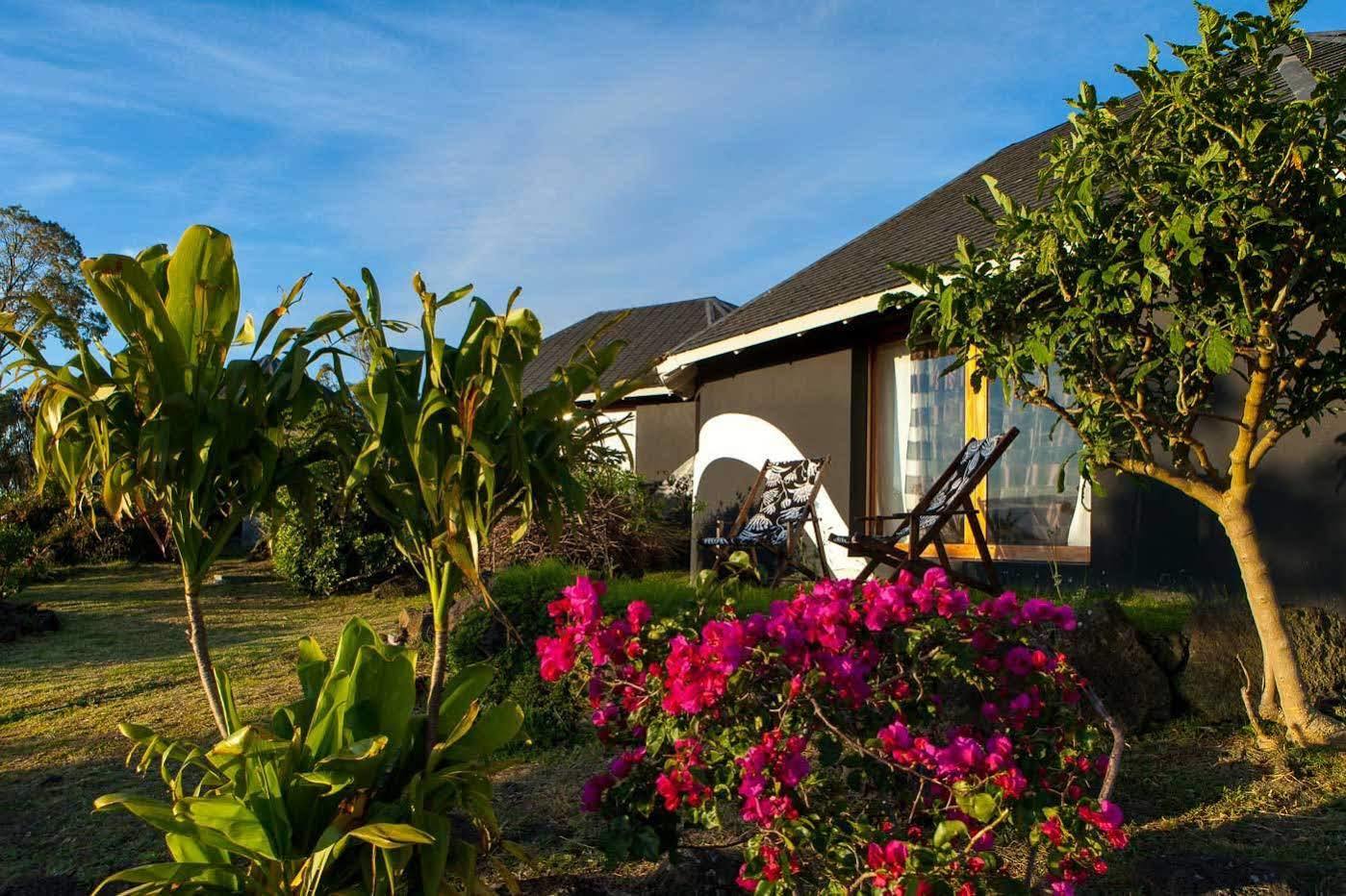 Отель Altiplanico Rapa Nui Ханга-Роа Экстерьер фото